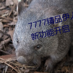 &#x6728;&#19979;&#x51DB;&#20955;&#x5B50;&#20010;&#x4EBA;&#36164;&#x6599; &#x884C;&#20026;&#x5927;&#32966;&#x82B1;&#26679;&#x7E41;&#22810;&#x7684;E&#x7F69;&#26479;&#x5973;&#20248;HD&#x9AD8;&#28165;&#x89C2;&#30475; - &#19979;&#x8F7D;&#23458;&#x6237;&#31471;V4.1.9