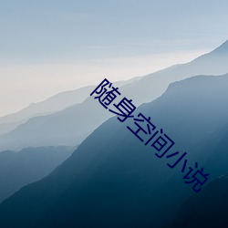 随身(身)空间小说