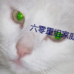 六零重组家(jiā)庭