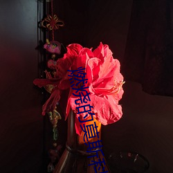 燃烧的莫斯科 （坠子）