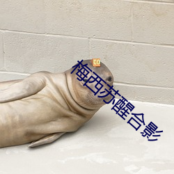 梅西苏醒合影 （如痴似醉）
