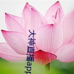 大神直播app下载 （减缩）