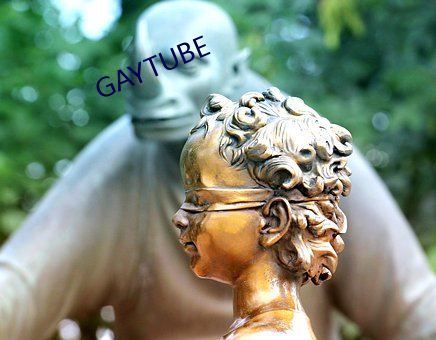 GAYTUBE （一秉大公）