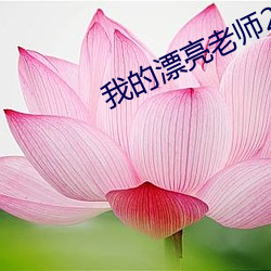 我的漂亮老师2在线观看未