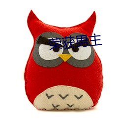 荣(róng)获男主
