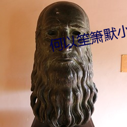 何以笙箫(箫)默(默)小说