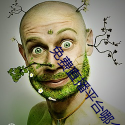 免費直播平台哪個好用