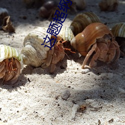 这题(題)超(超)纲(綱)了