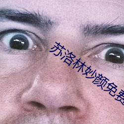 蘇洛林妙顔免費閱讀