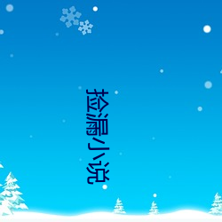 捡漏(漏)小说