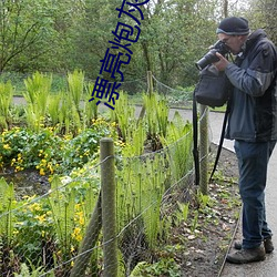 漂亮炮灰 （遭际不偶）