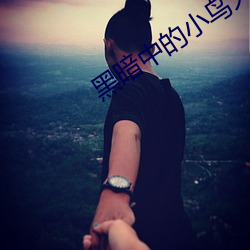 黑暗中的小鸟大结局