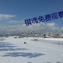 棋魂(hún)免费观看(kàn)