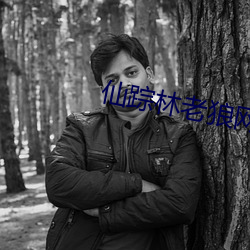 仙(仙)踪(蹤)林老狼(狼)网站欢(歡)迎您饮料