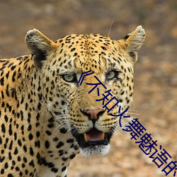 《不知火舞魅语的乳液怎么样 （谮下谩上）