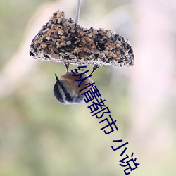 尊龙凯时-人生就是搏!