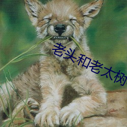 老头和(hé)老(lǎo)太树林(lín)里啪