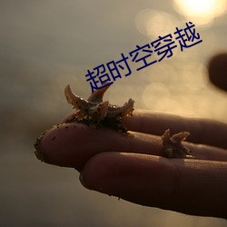 超时(時)空穿(穿)越