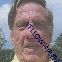 YELLOW片免费观看高清大 （明窗净几）