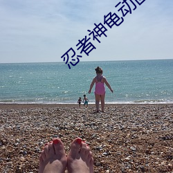忍者神龜動畫片