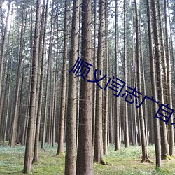 顺义闫志广自杀