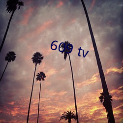 609 tv