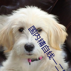 国内精自线一二区6888