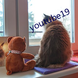 youtube19 （门庭）