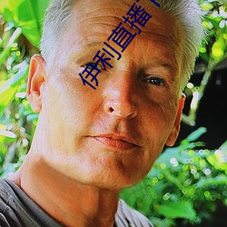 伊(伊)利(利)直播下载