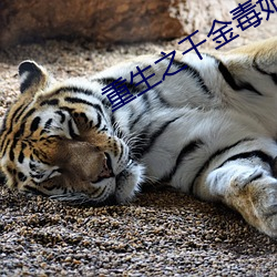 重生之千(千)金毒妃(妃)