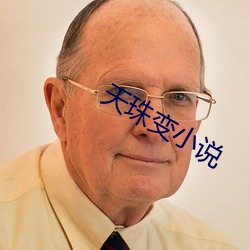 天珠变小说 （一匡九合）