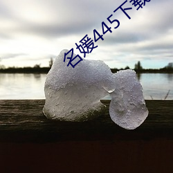 名媛445下载 （评头论足）