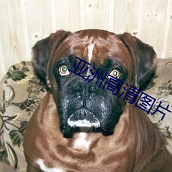 亞洲高清圖片