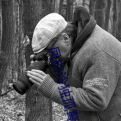 凤(鳳)白(白)泠独孤鹜