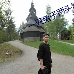 一只兔子两头饿狼全文免费