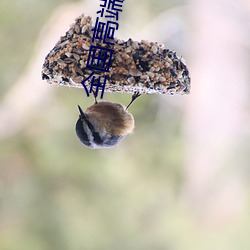 全(全)国高端空(空)降平(平)台