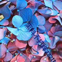 黑料(liào)不打烊zzzttttt传送门