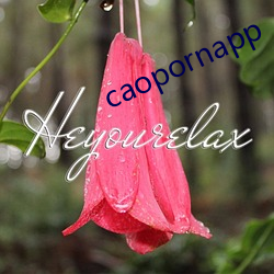 caopornapp