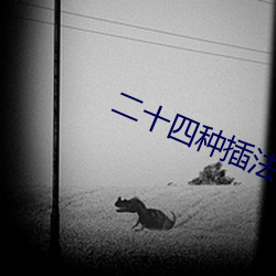二十四(四)种插(插)法(法)