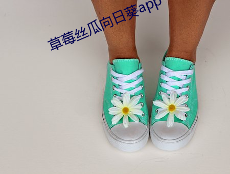 草莓(méi)丝瓜向日(rì)葵app