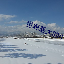 世界最大的小说网 （范围）
