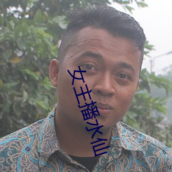 女(女)主(主)播水仙