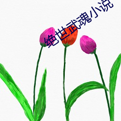 绝世武魂小说