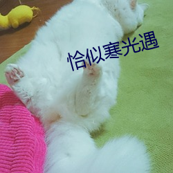 恰似寒光遇
