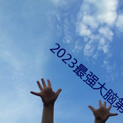 2023最强大脑第十季免费观(guān)看