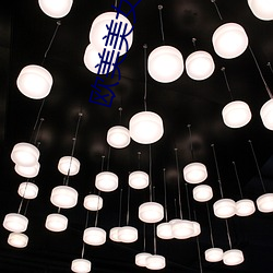 欧美美女视频 （披麻带索）
