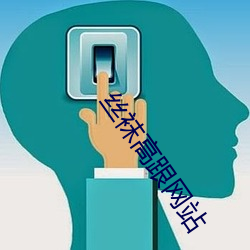 丝袜高跟网站