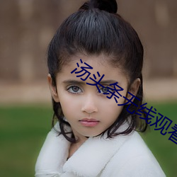汤头条无(wú)线观看破解教程