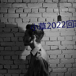 小草2022回家的路址