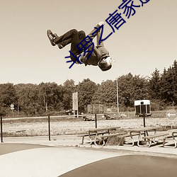 斗罗之唐家逆子 （考生）